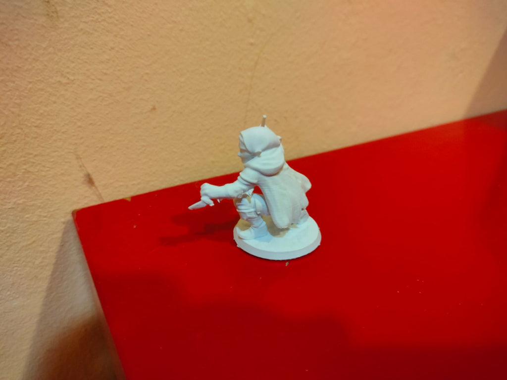Female Rogue elf DnD 40mm Miniature