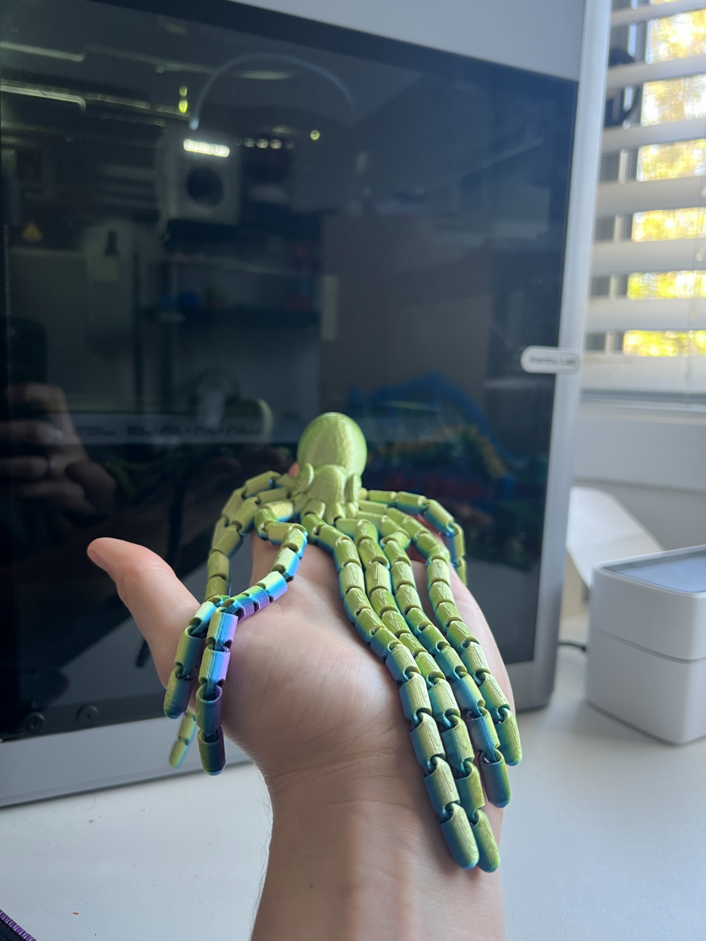 Octopus with Long Tentacles