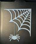 Window Spider Web