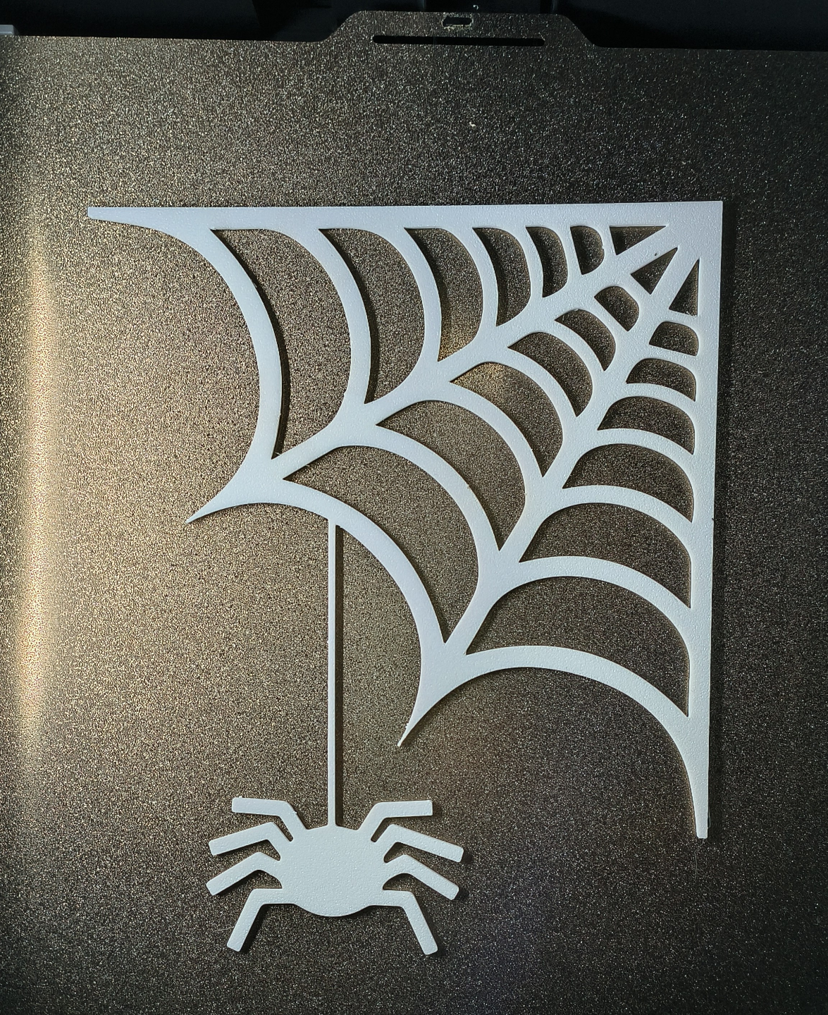 Window Spider Web