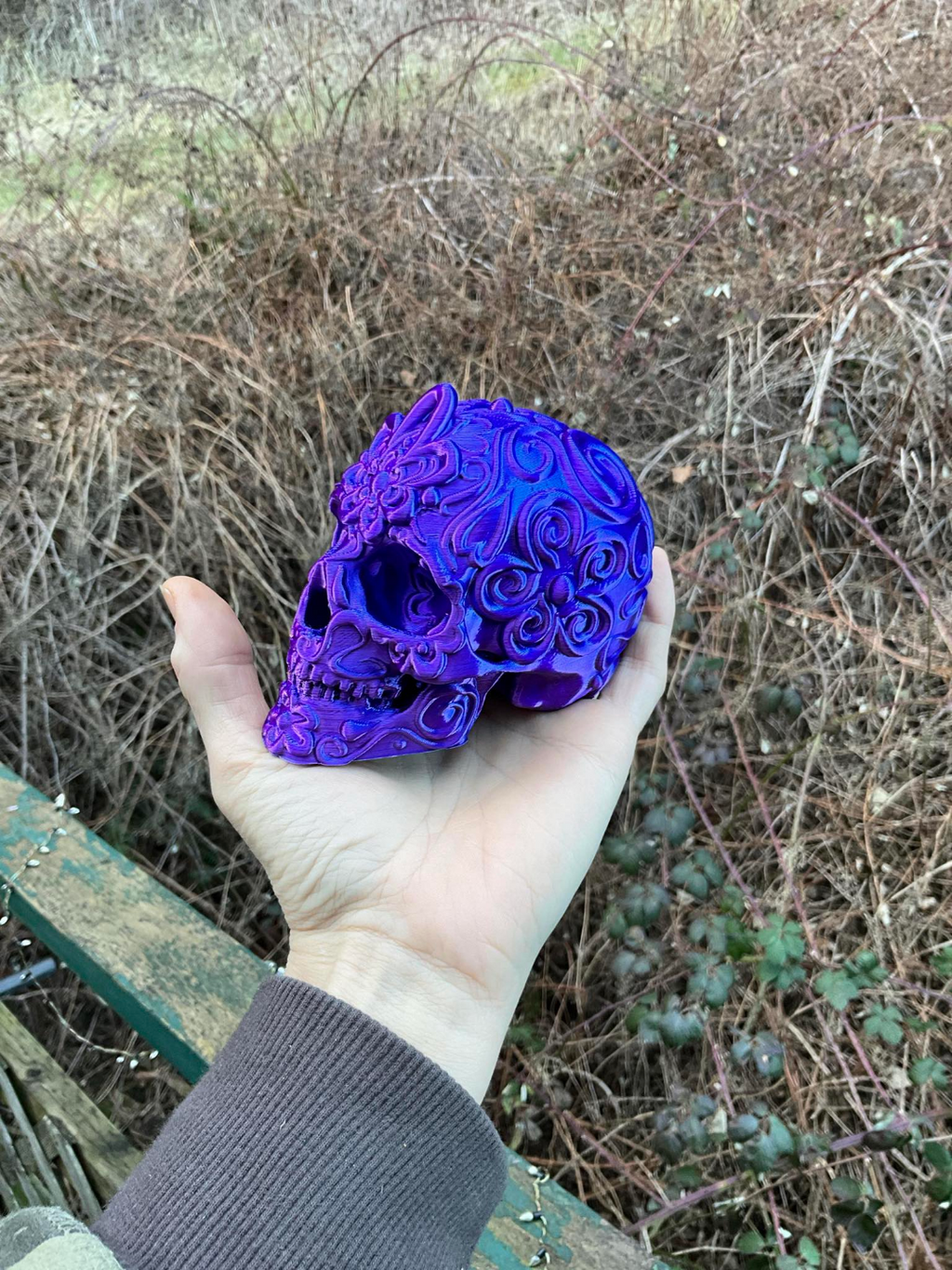 Sugar Skull multi color painted compatible