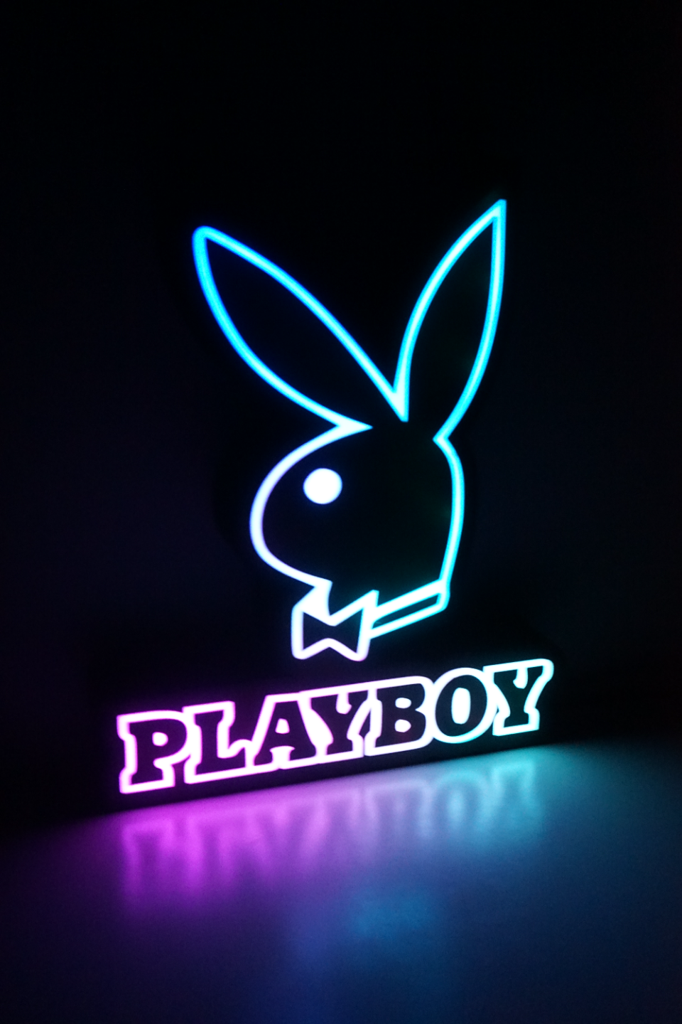Playboy Logo