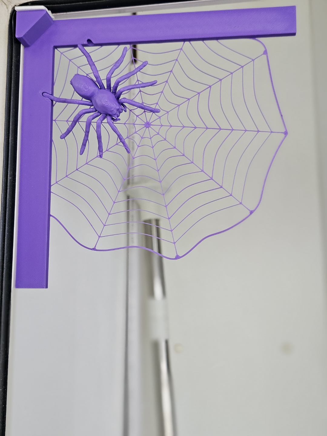 Spider in web