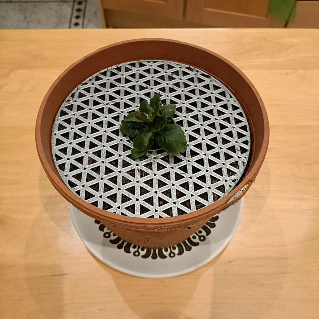 Pet-resistant Plant Protector