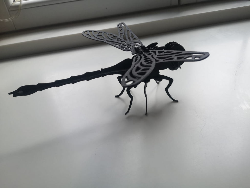 Dragonfly_3D