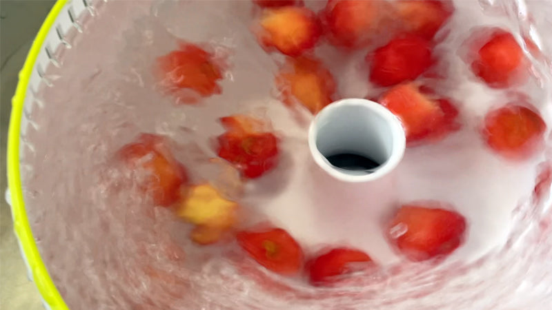 Vortex Fruit Washer (Size L)