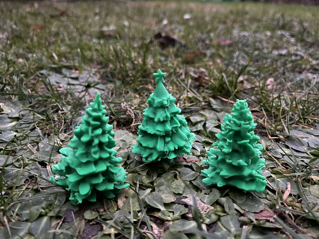 Coniferous trees diorama