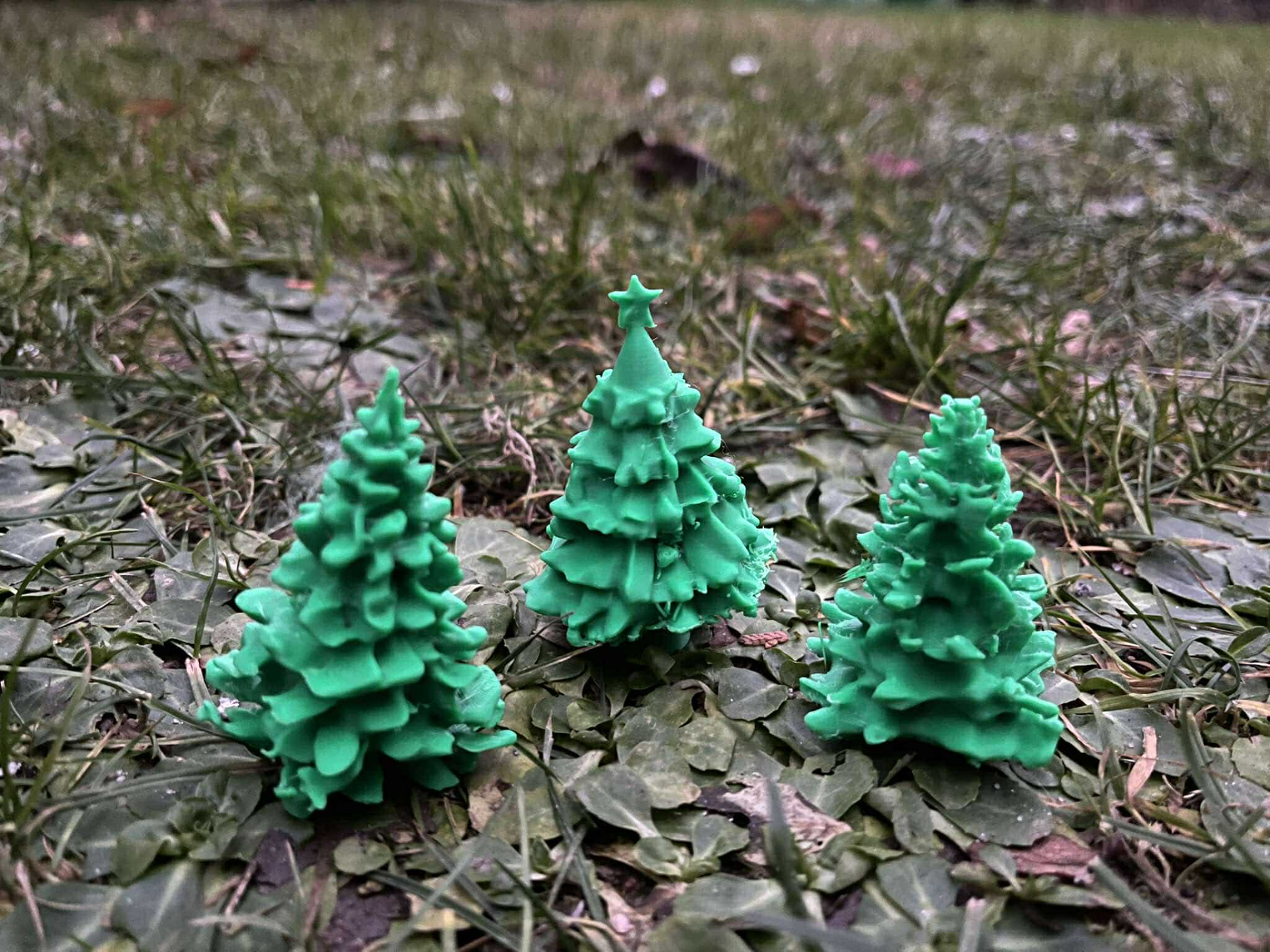 Coniferous trees diorama