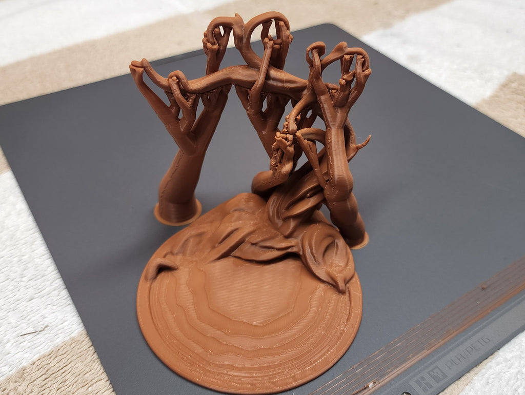 Namibian Acacia Jewelry Tree