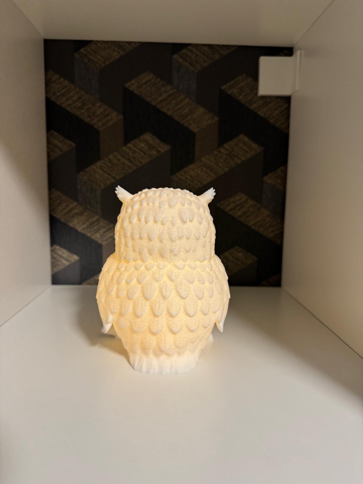 Owl LED