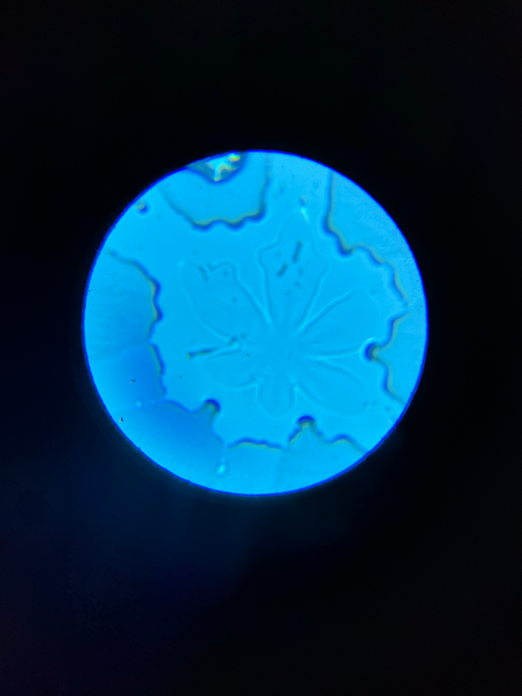 Microscope Phone Camera Adapter