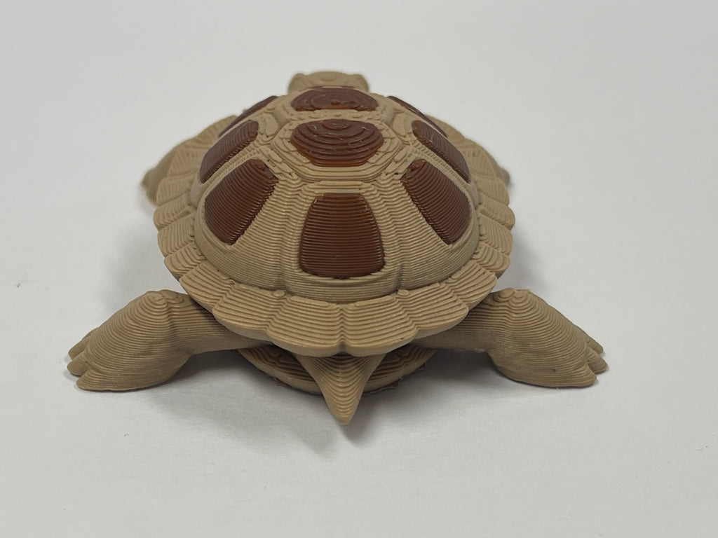 Fun Little Turtle