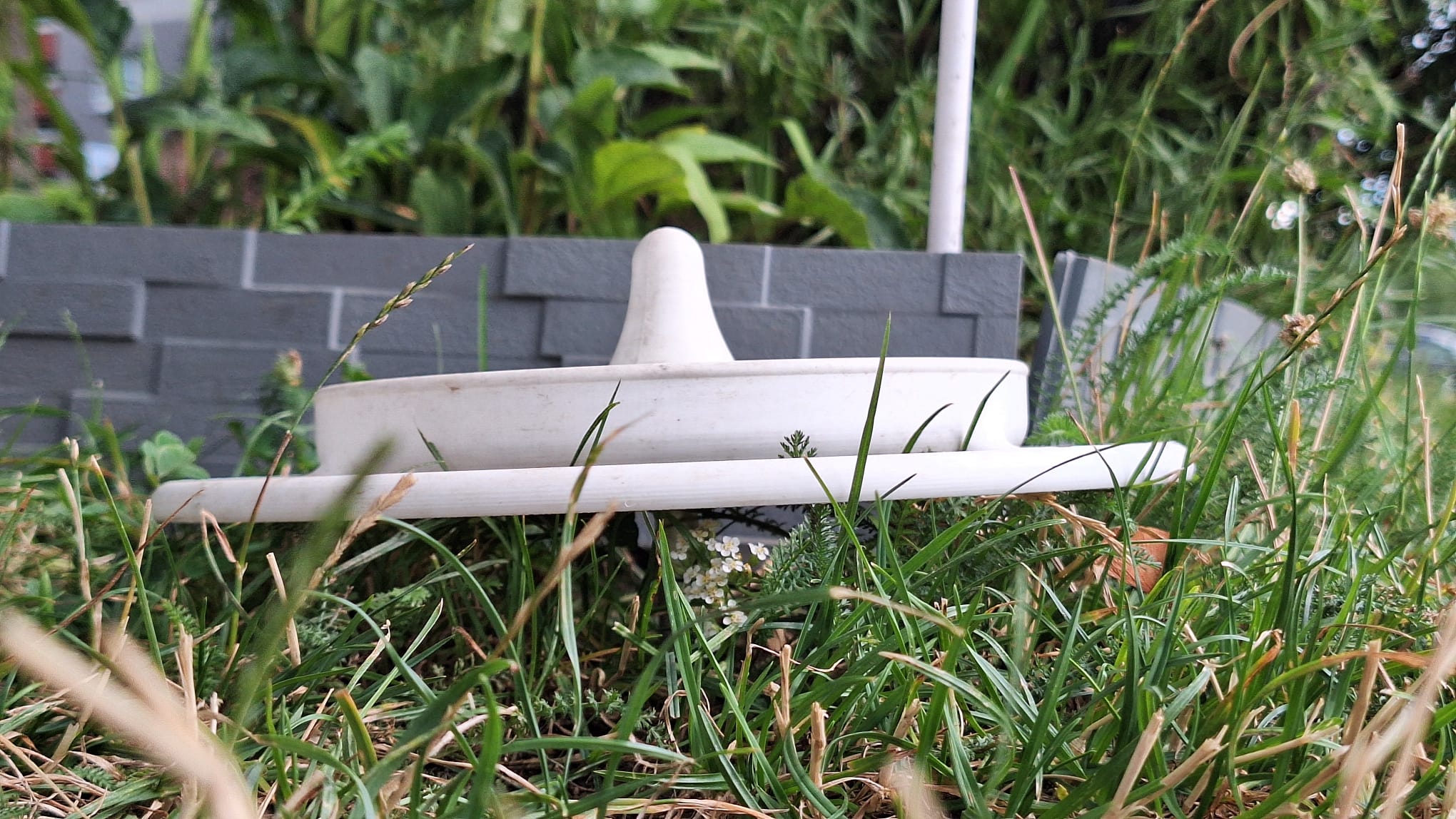 Simple Bird Water Bowl for Your Garden