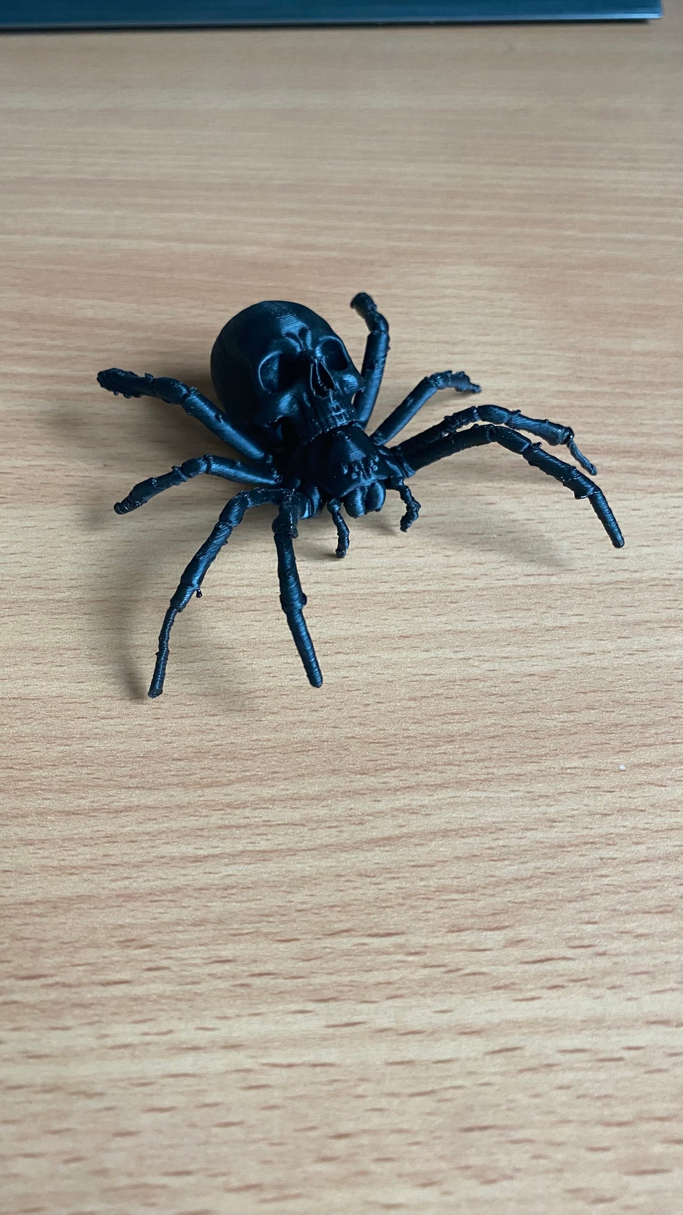 The most realistic skull spider