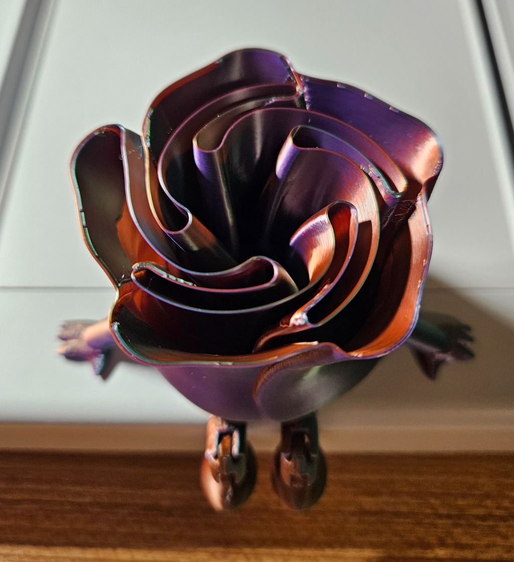 Rose Buddy Articulating