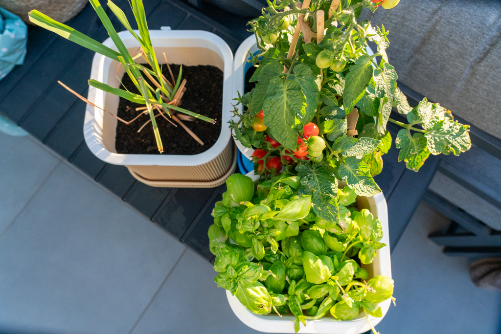 Connecting planter 22cm