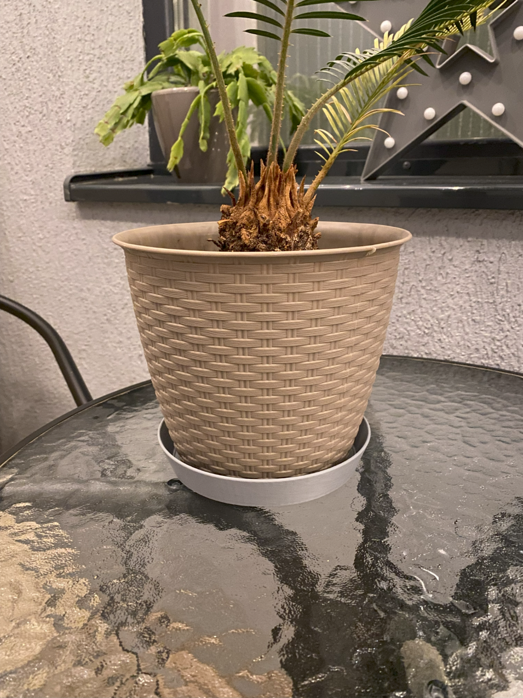Pot saucer for <140mm pots