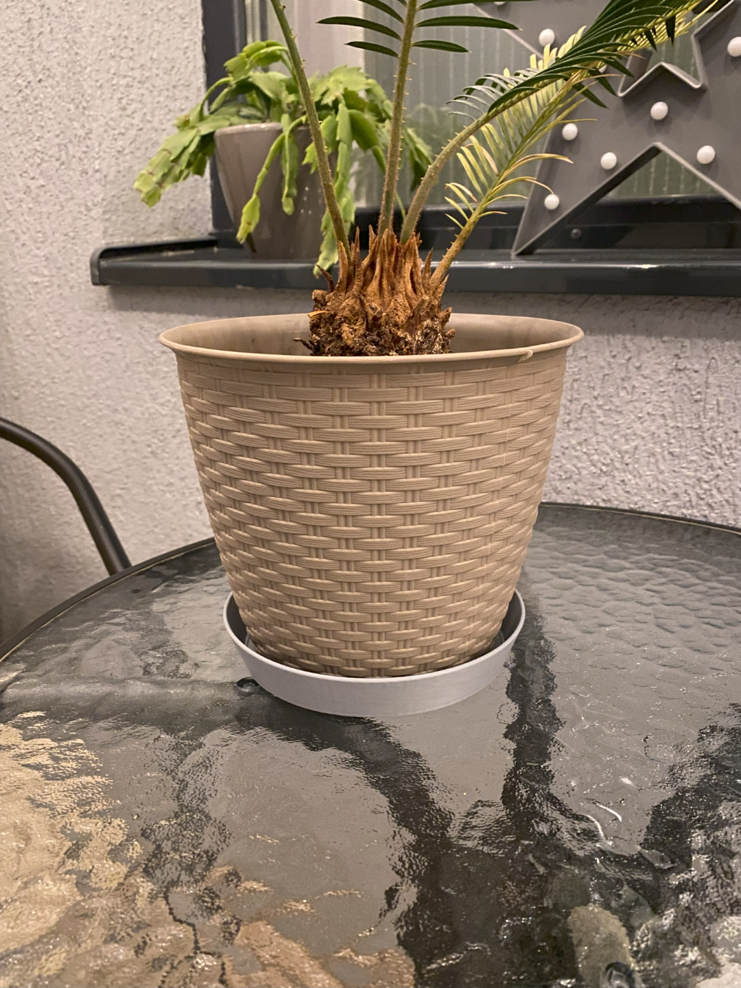 Pot saucer for <140mm pots