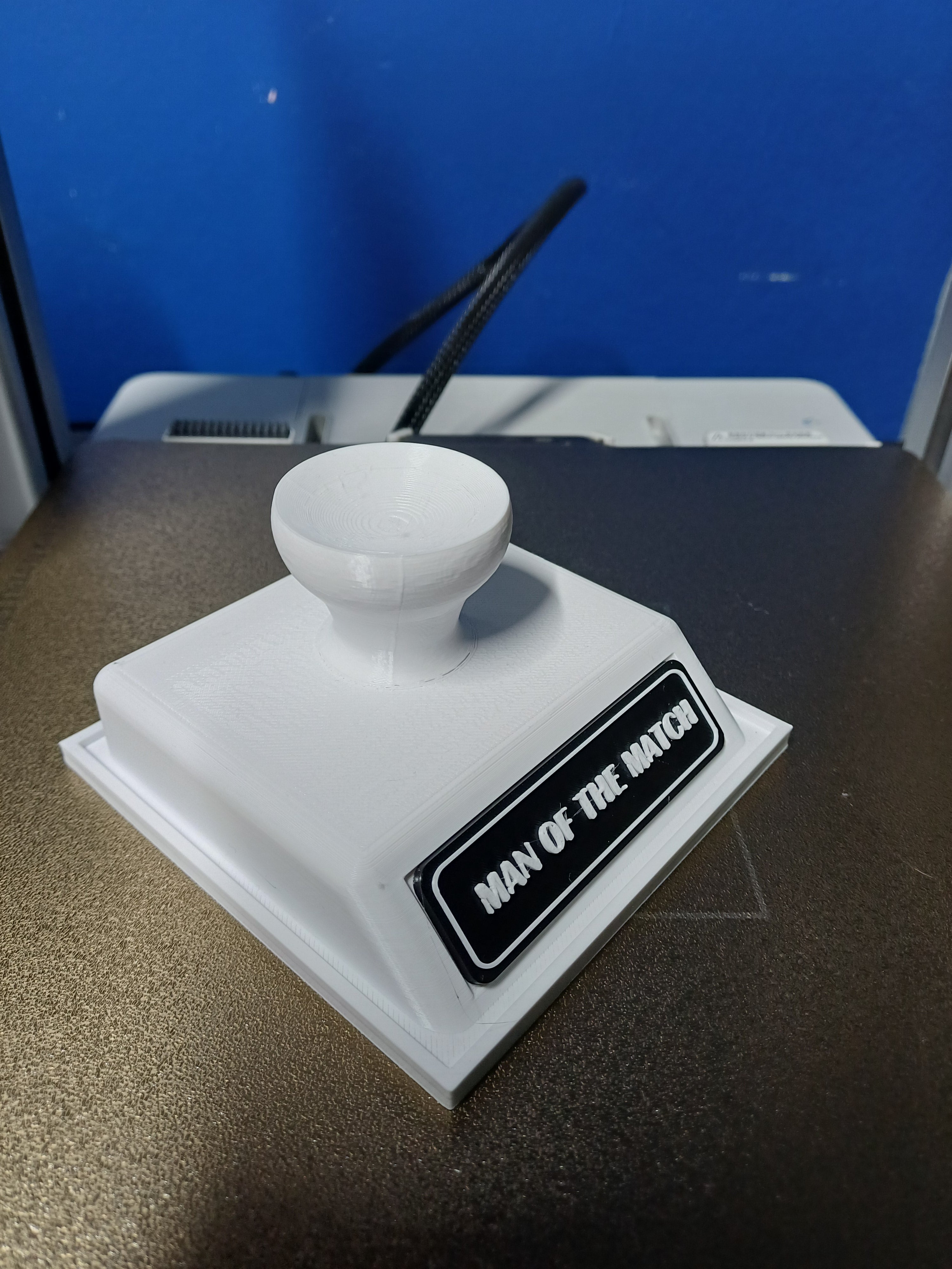 Trophy Name Plate - Customizable Award Plaque