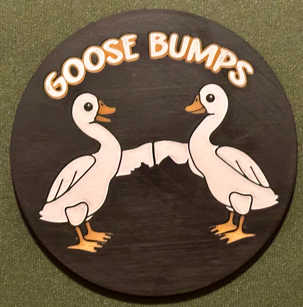 Goose Bumps Coaster
