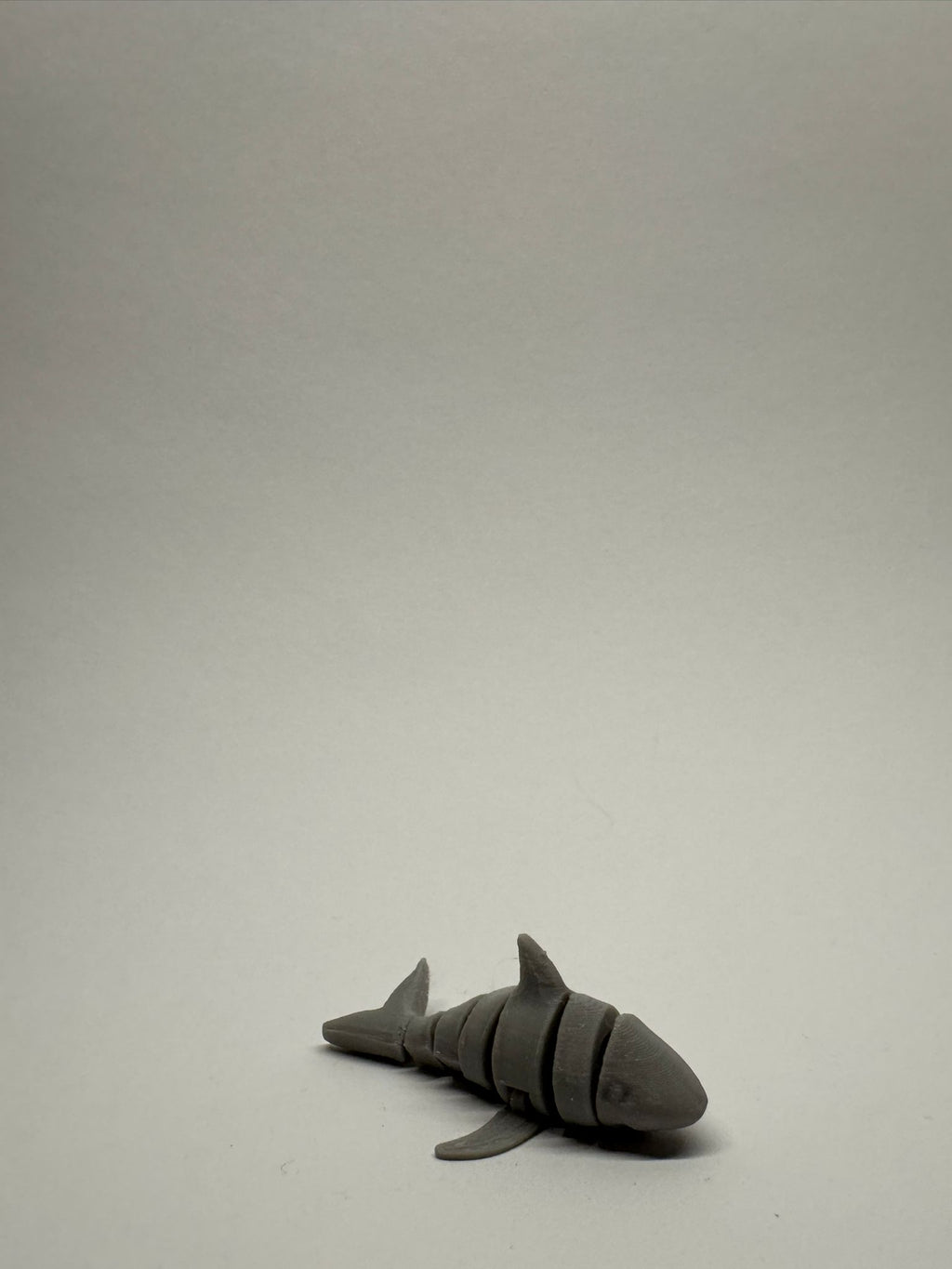 Cute Articulated Shark