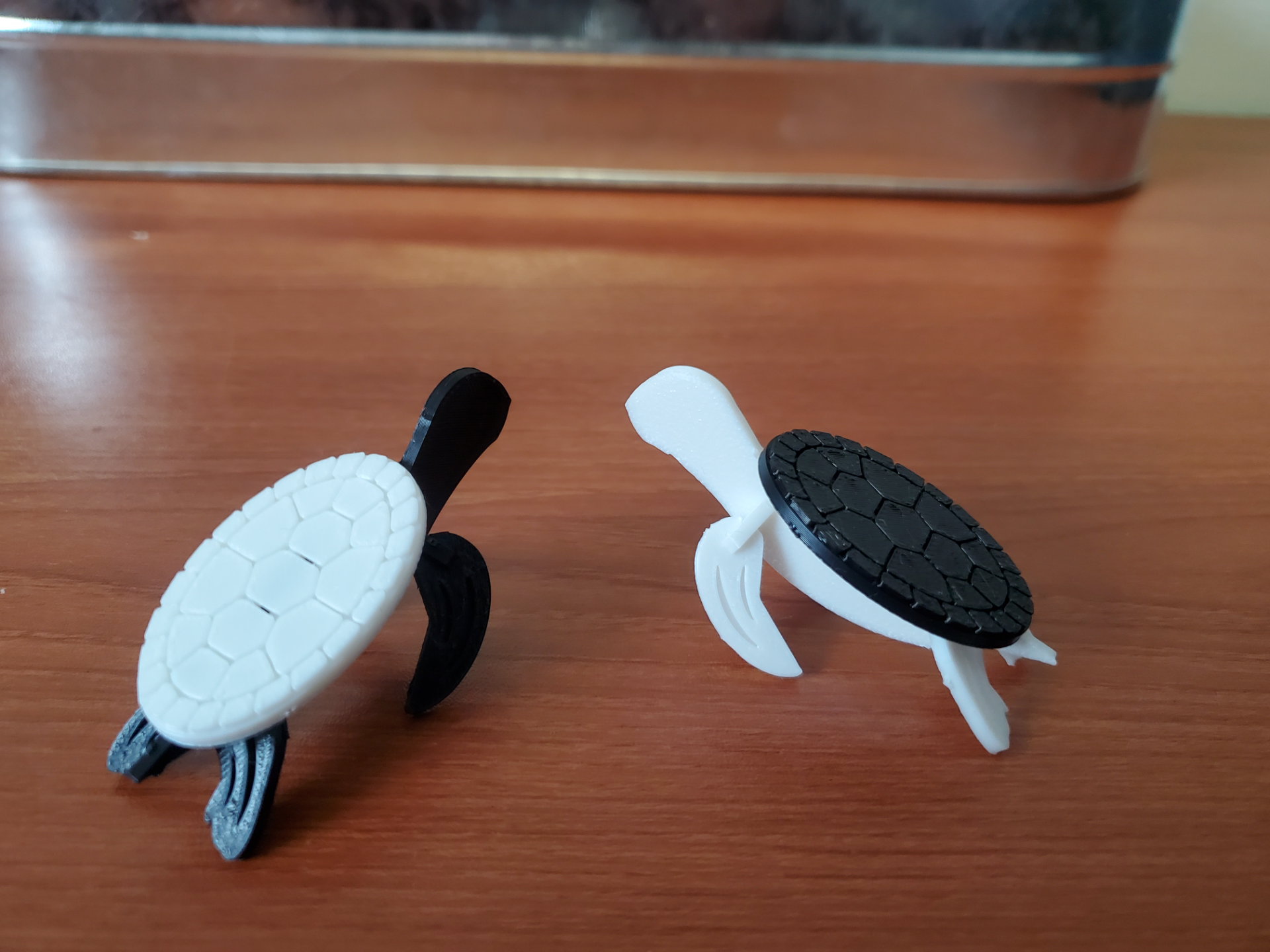 Sea Turtle Kit Card