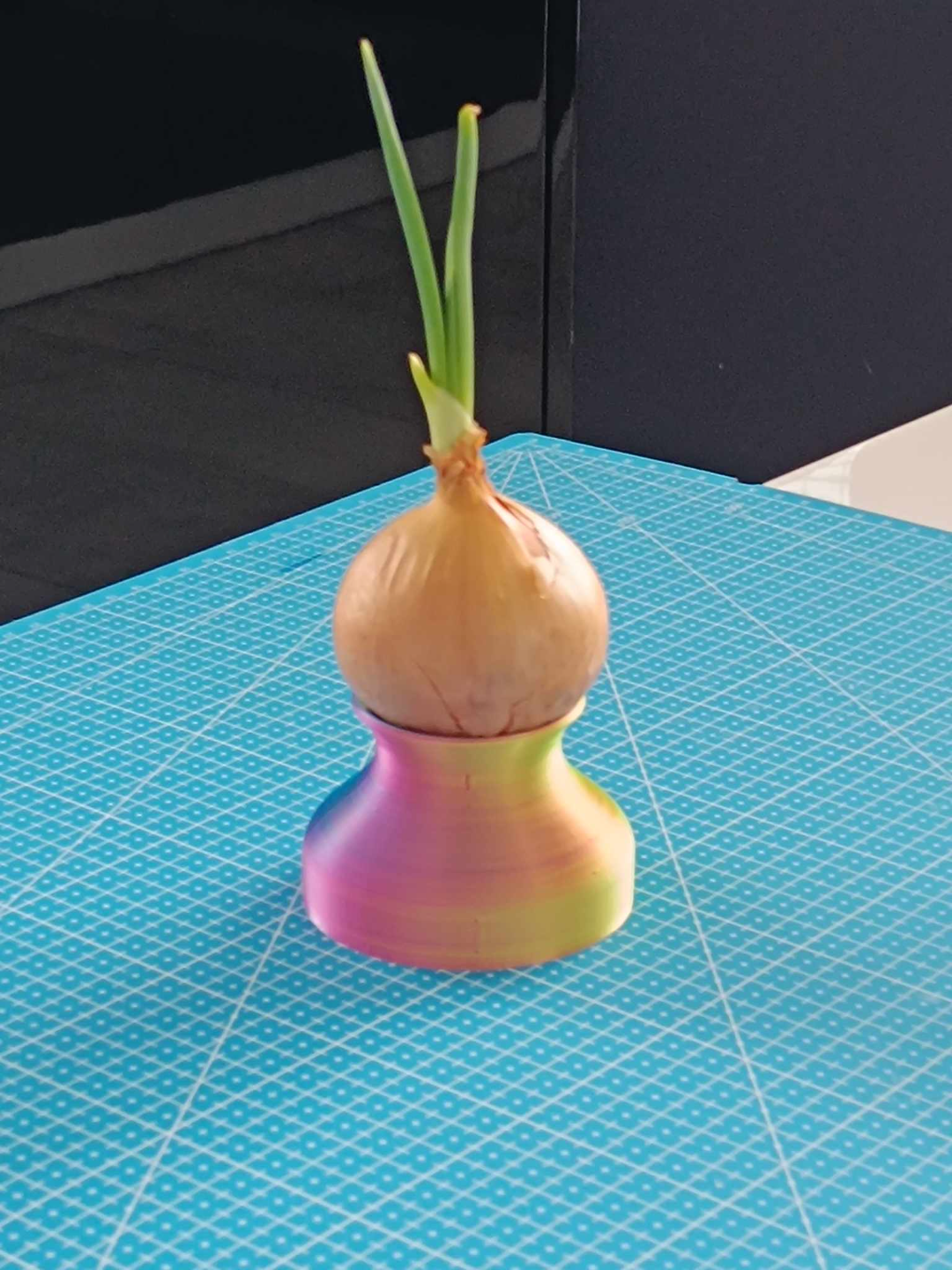 Onion chives pot