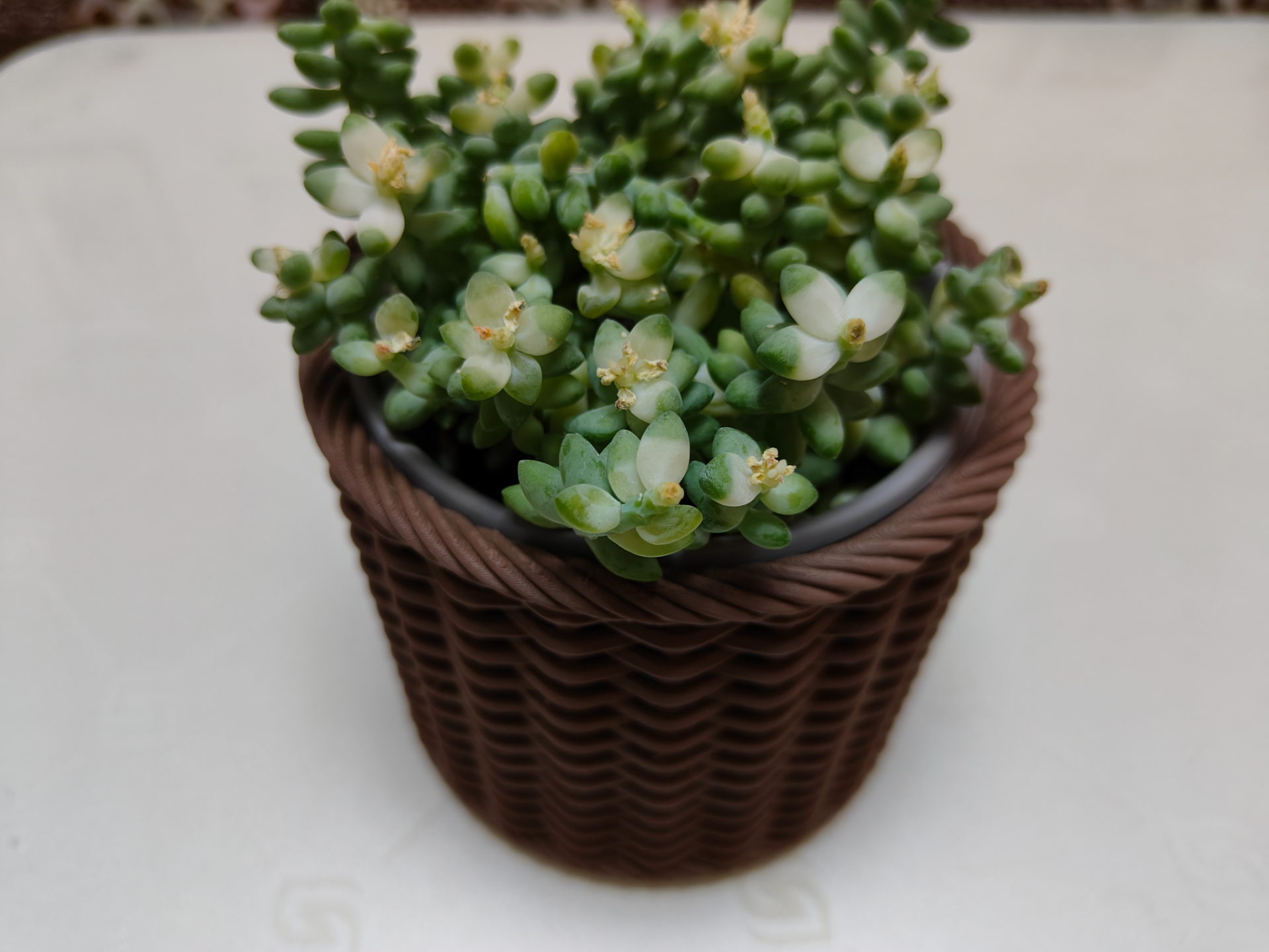 Weaving Pots