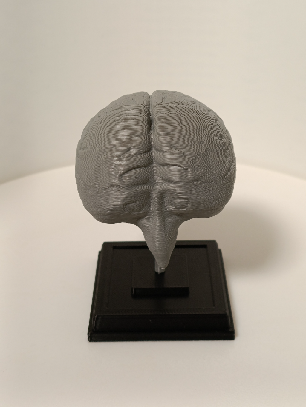 Brain on a stand