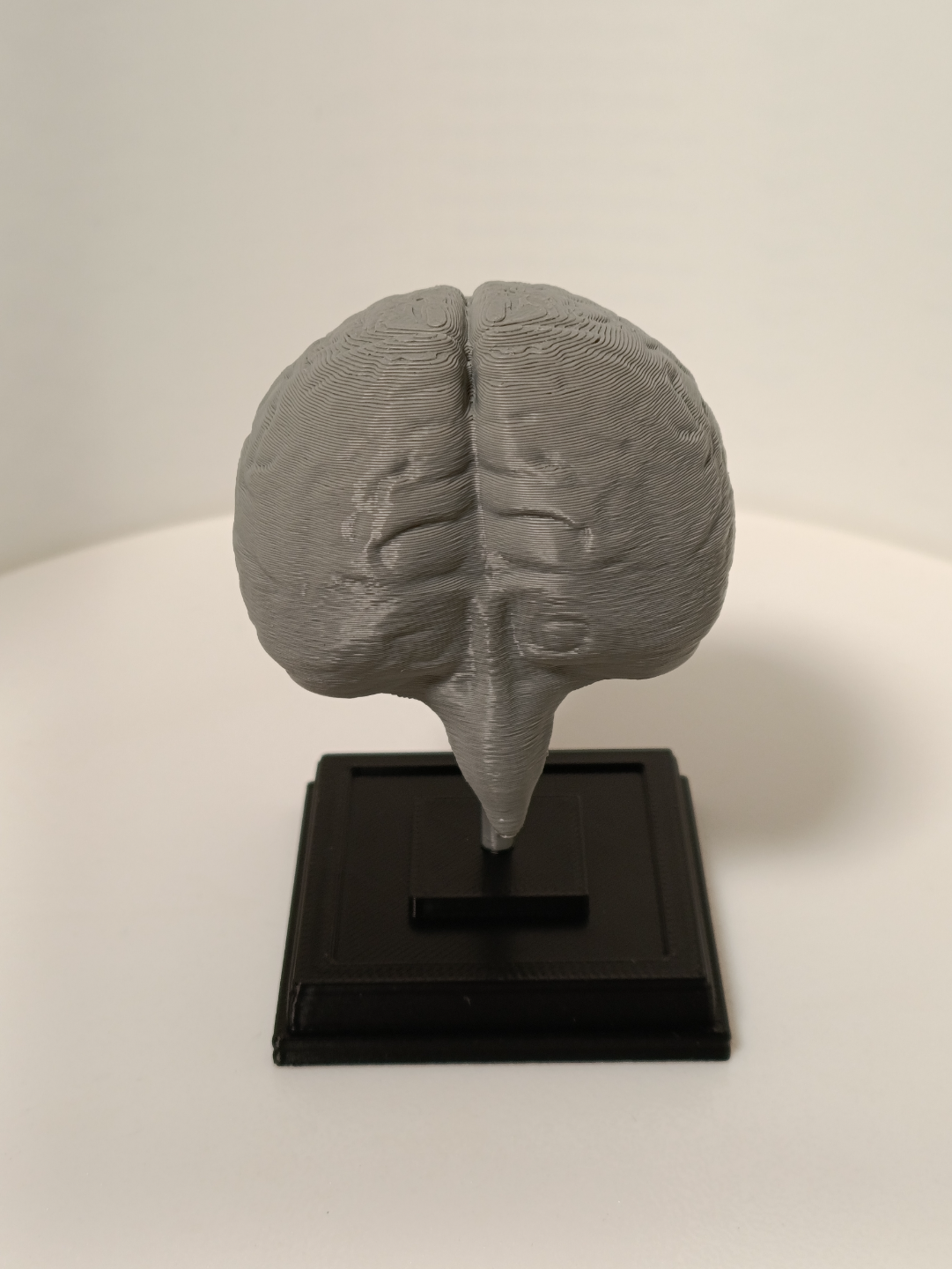 Brain on a stand