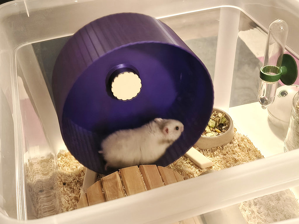 Hamster wheel