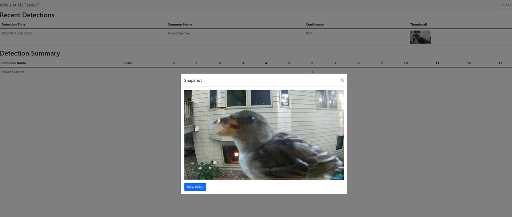 BirdBrain: Smart Bird Feeder - DIY Bird Buddy