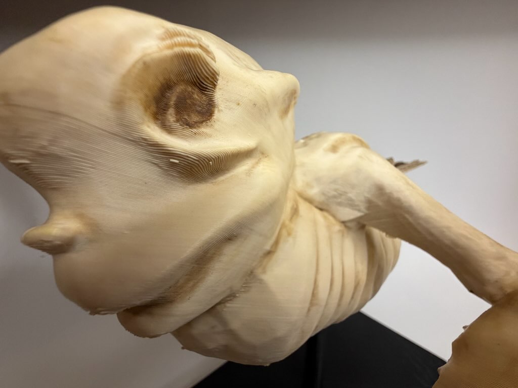 Fiji mermaid
