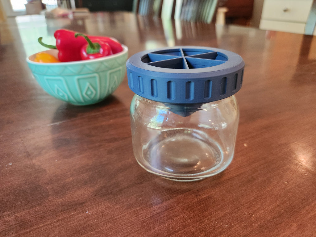 Fruit Fly Trap Mason Jar Lid
