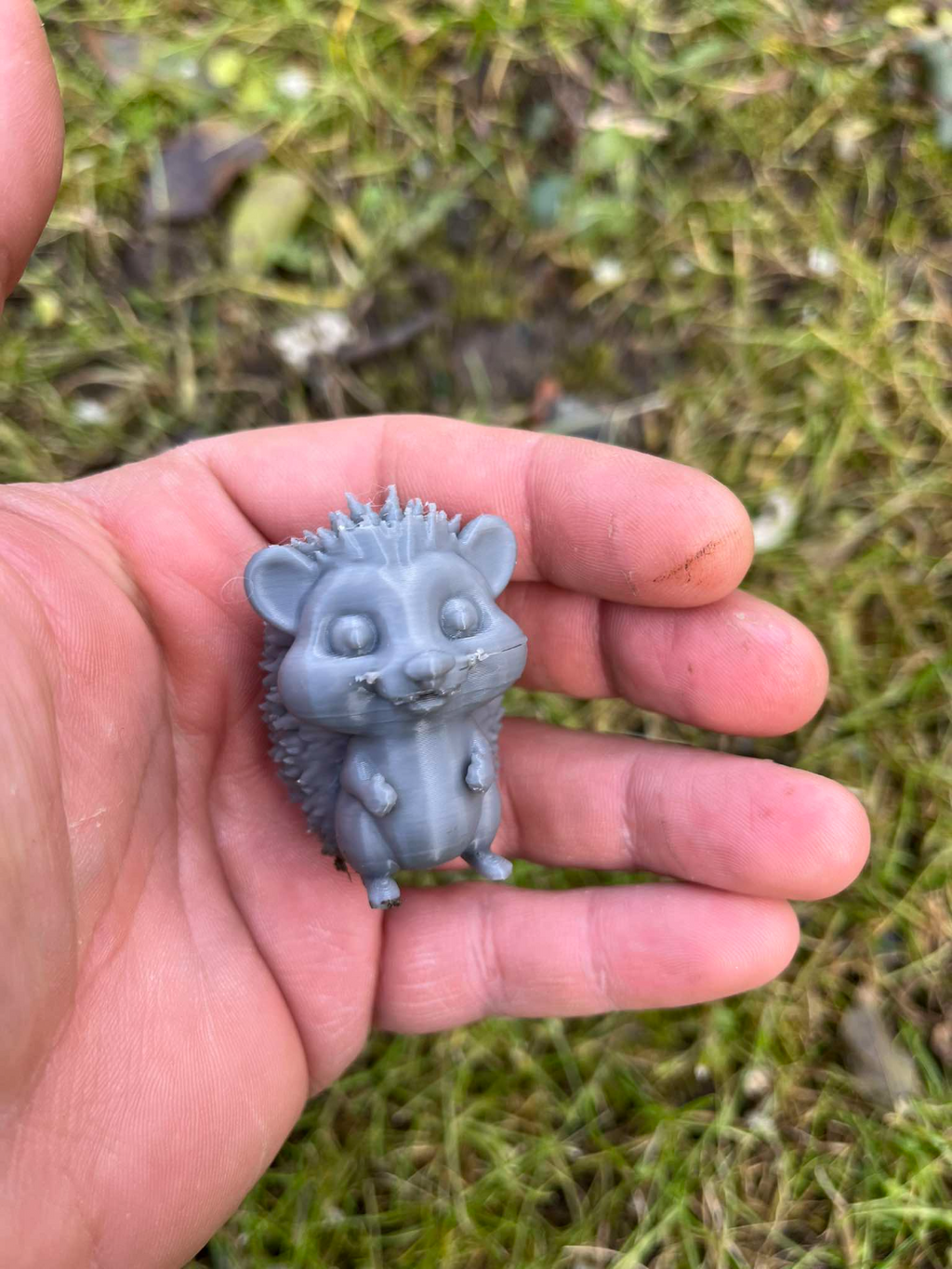 Hedgehog Family
