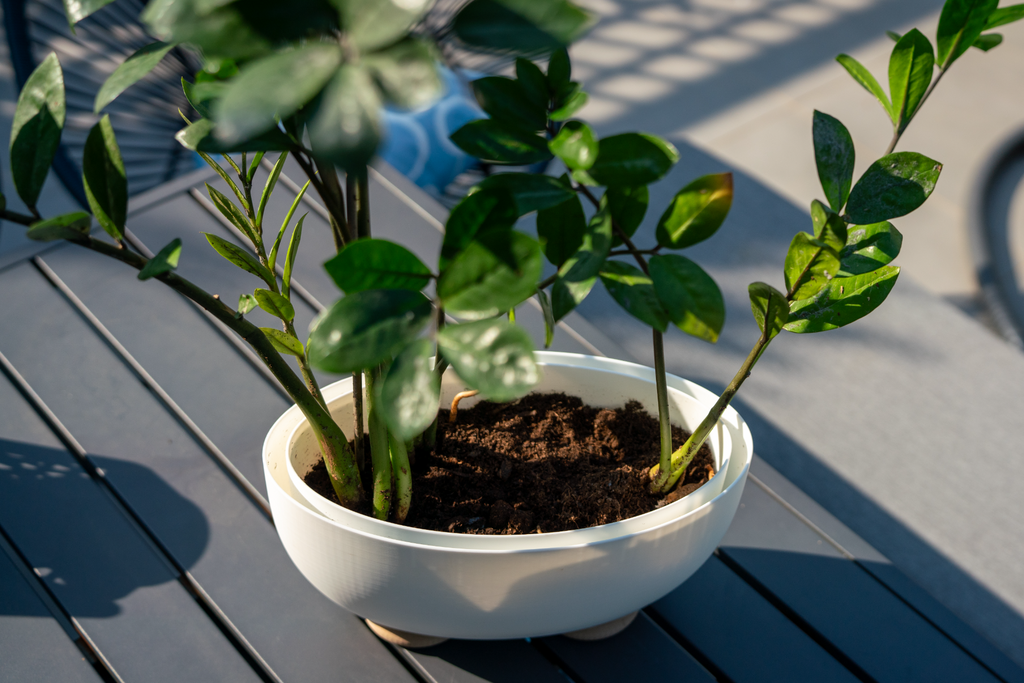 31cm / 12in Oval Pot with Drainer