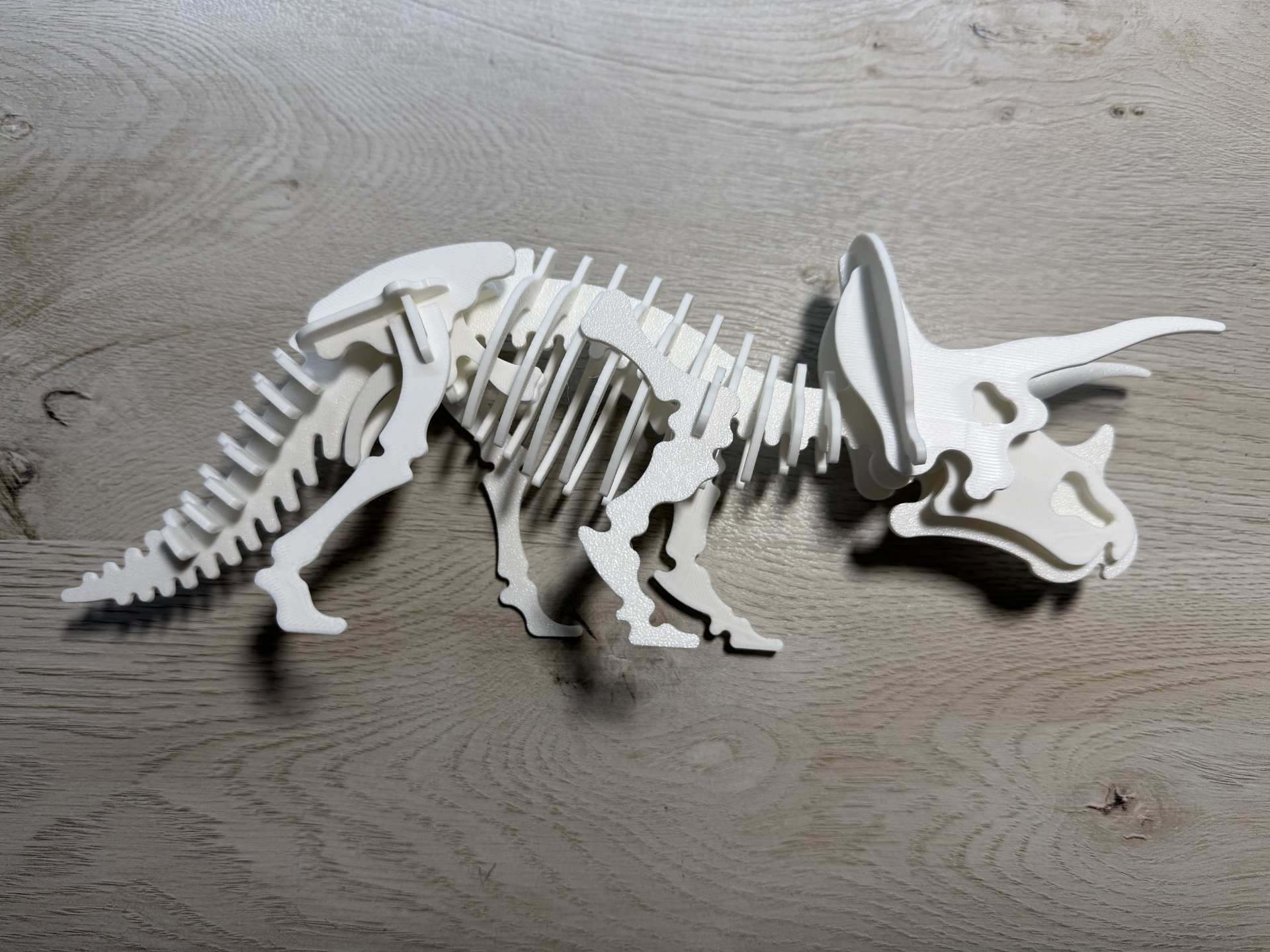 Triceratops Dinosaur Skeleton Puzzle