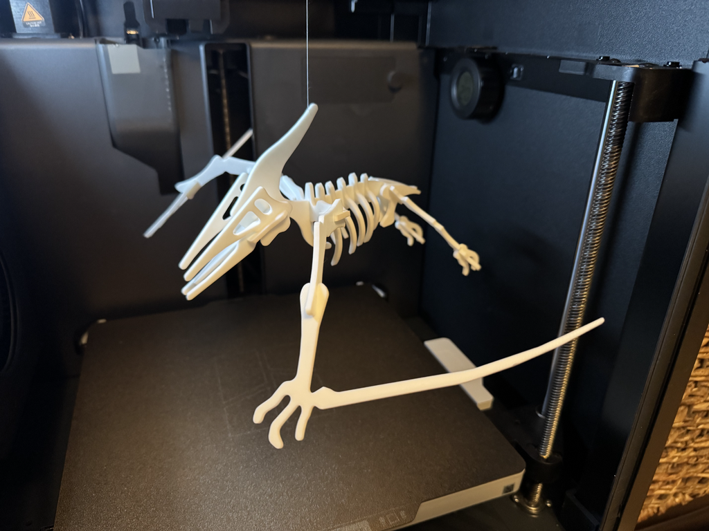 Pterodactyl Dinosaur Skeleton Puzzle