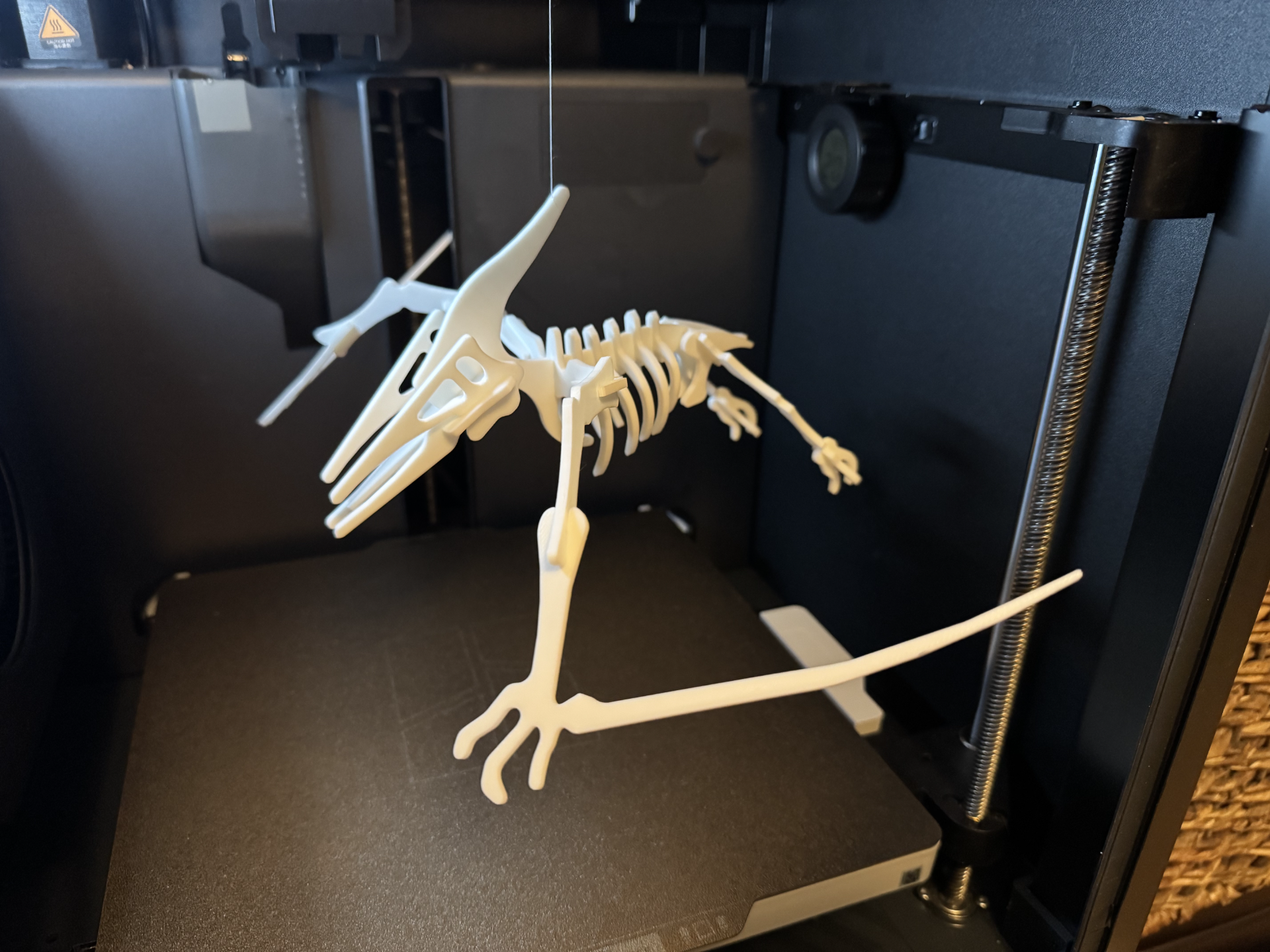 Pterodactyl Dinosaur Skeleton Puzzle