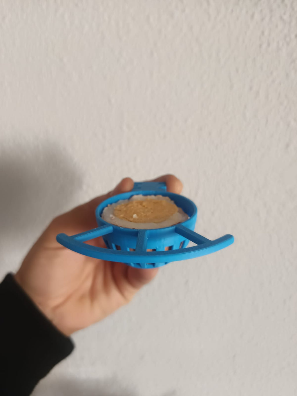 huevera para pajaros