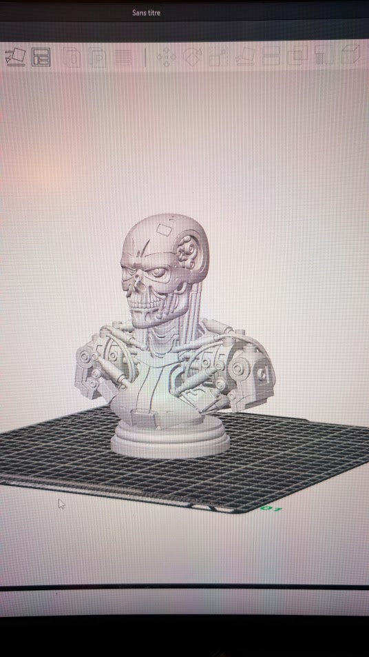 buste terminator v2