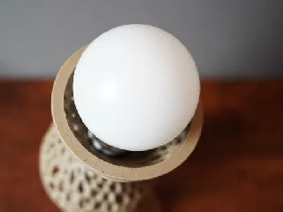 Voronoi Mushroom Lamp
