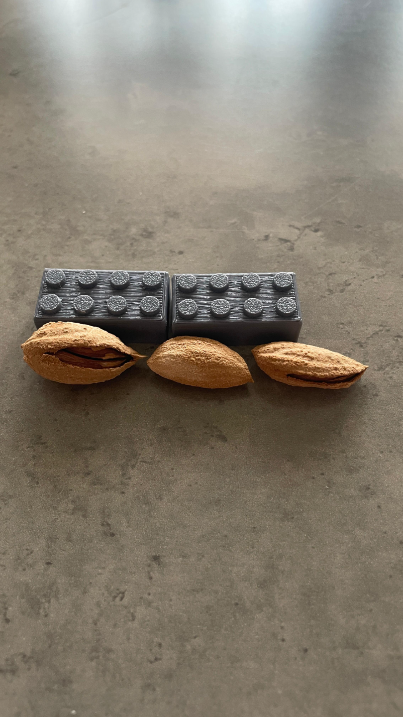 Brick 2X4