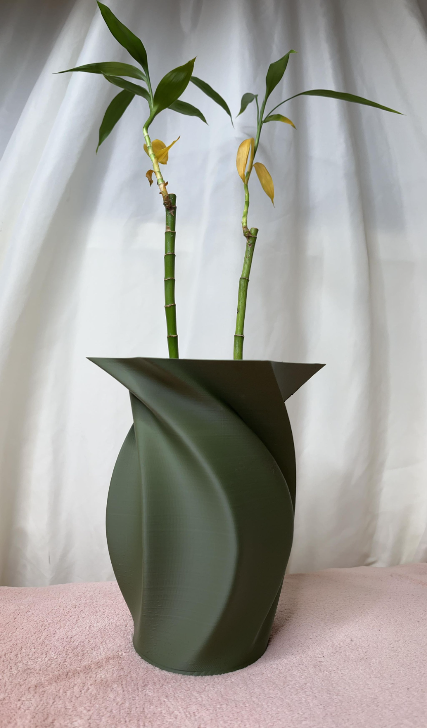 Elligant Spiral Vase
