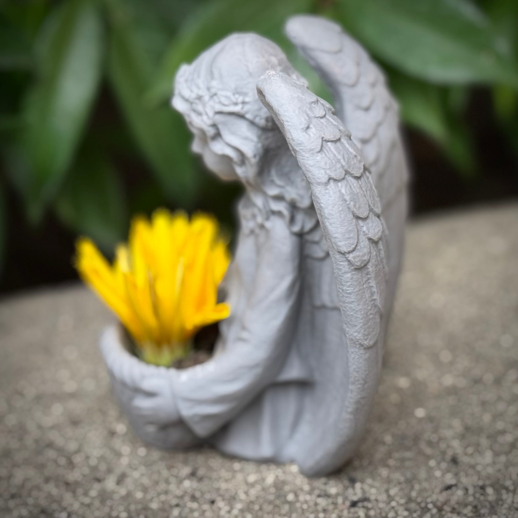 Angel Holding A Basket