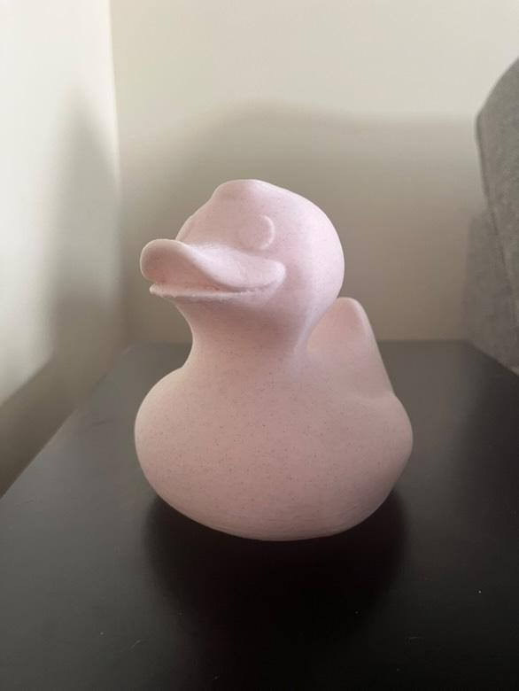 Pink Duck lamp (001 led light)