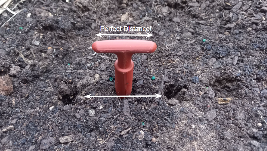 Garden Dibber