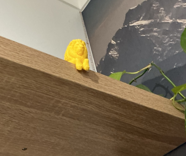 lion sitting on edge