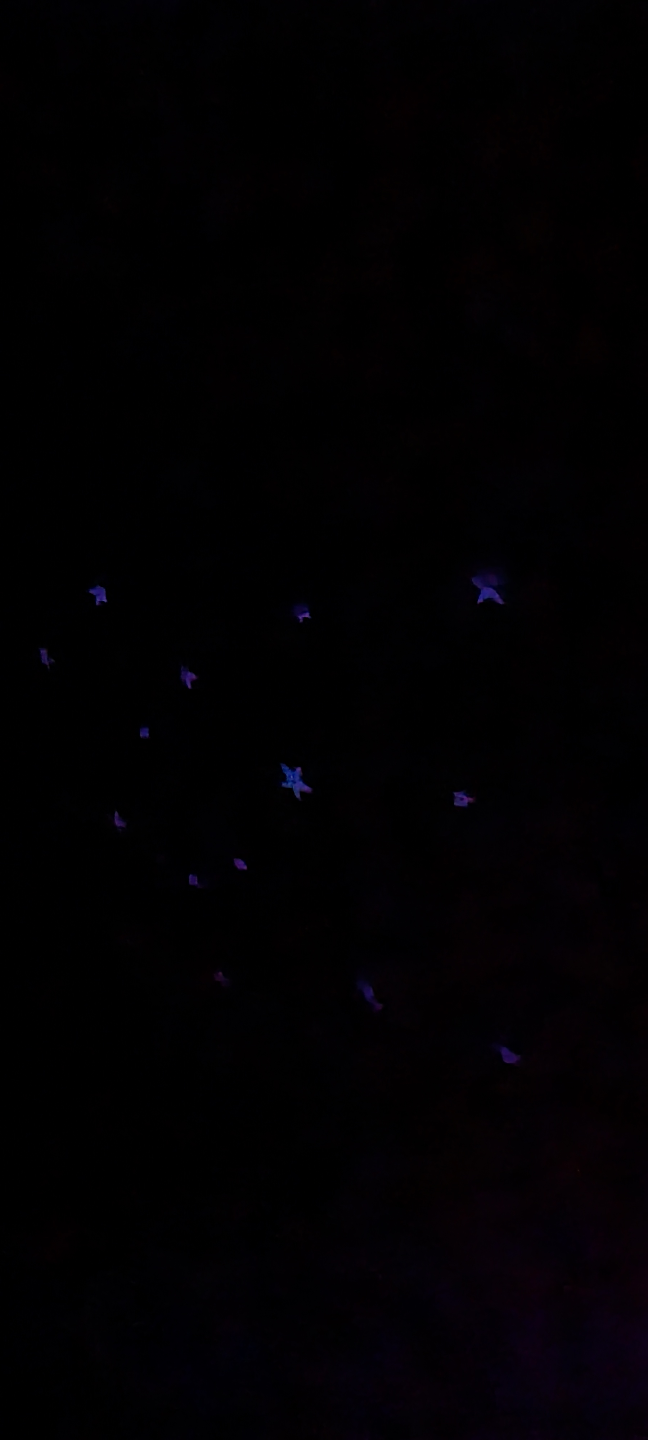 Glow in the Dark - * STAR *