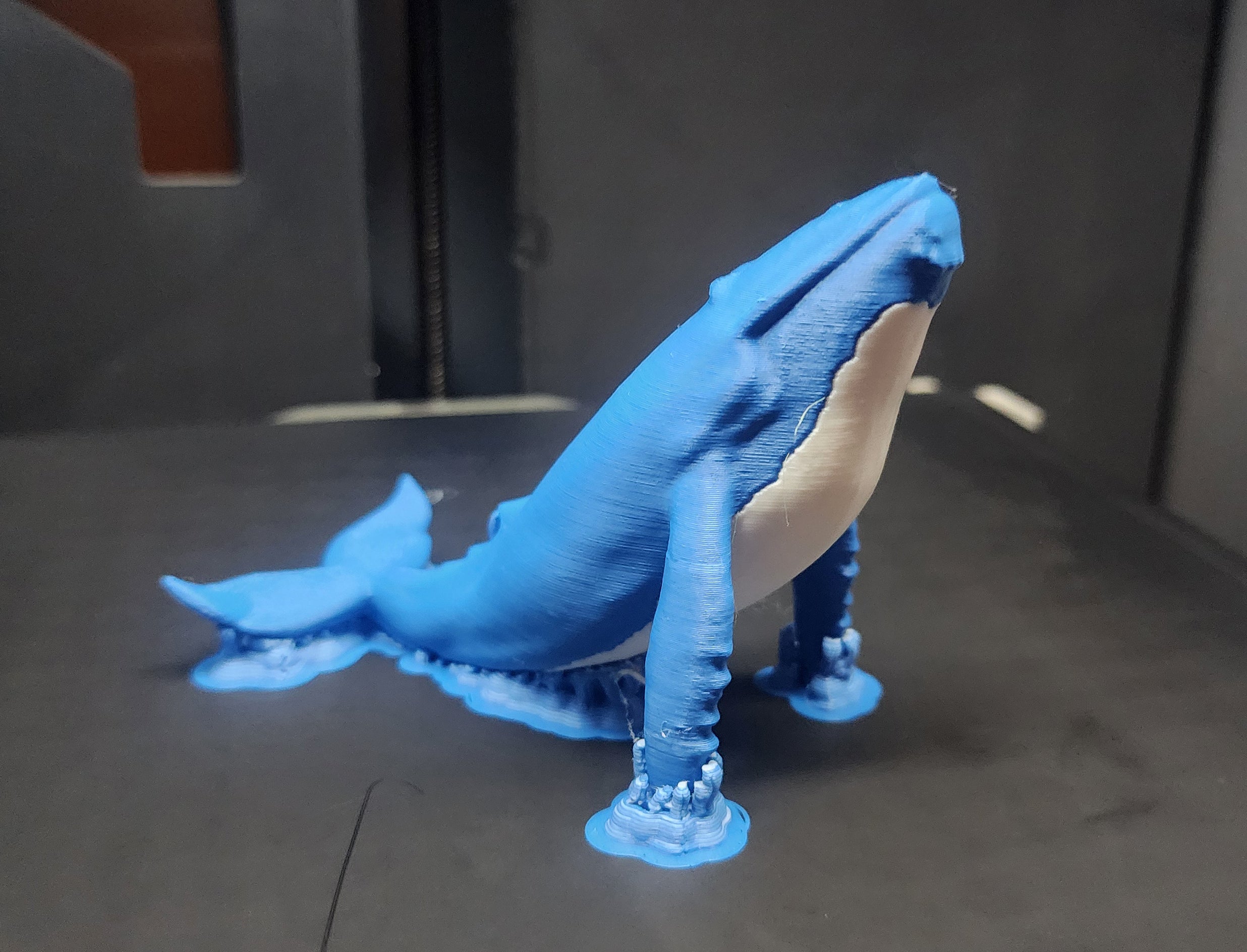 Blue Whale w/Stand AMS